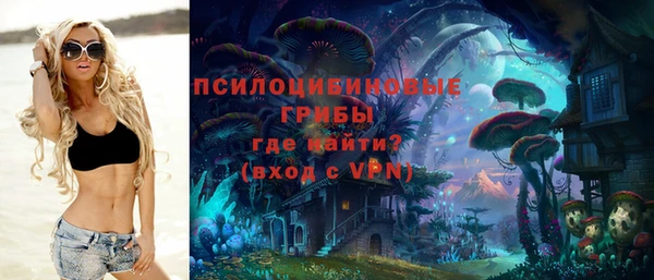 ГАЛЛЮЦИНОГЕННЫЕ ГРИБЫ Армянск