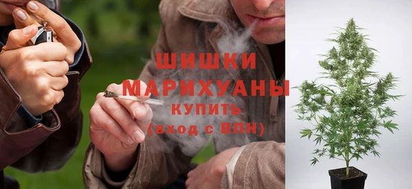 бутират Арсеньев