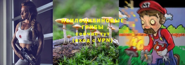 ГАЛЛЮЦИНОГЕННЫЕ ГРИБЫ Армянск
