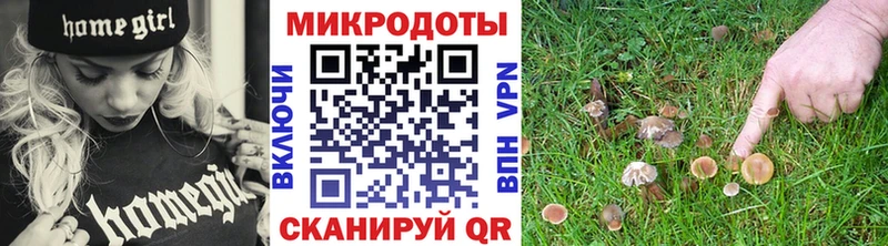Псилоцибиновые грибы GOLDEN TEACHER Новый Оскол